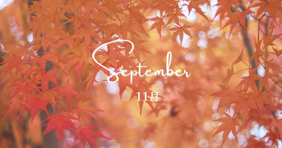 11月スケジュール